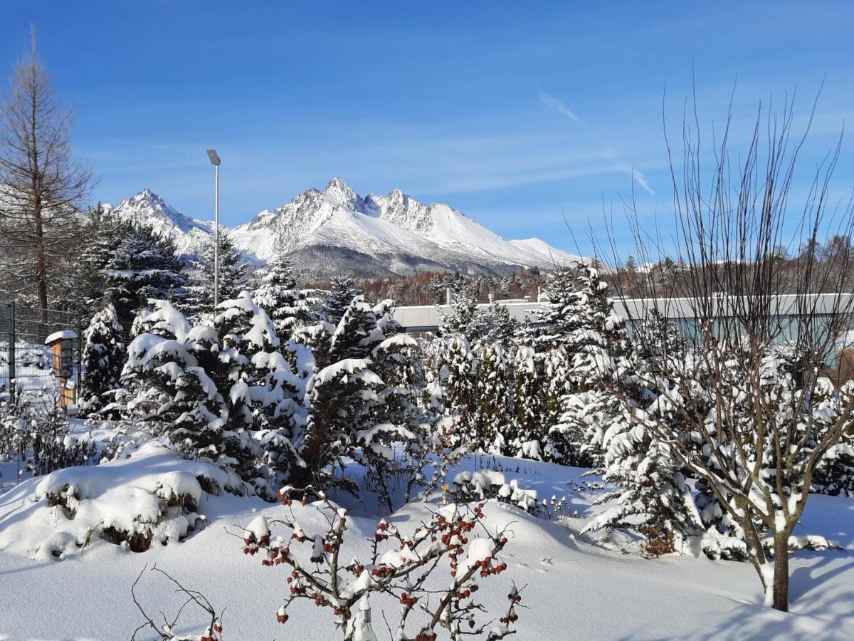 Apartment Privat Luna - Vysoke Tatry Nová Lesná Eksteriør billede