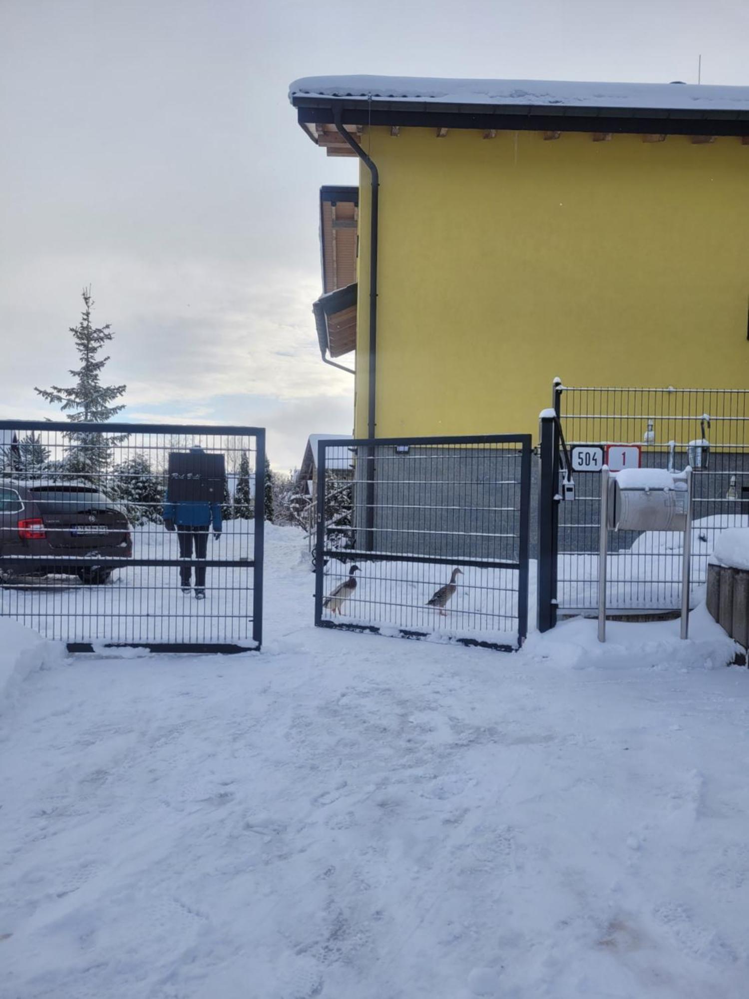 Apartment Privat Luna - Vysoke Tatry Nová Lesná Eksteriør billede